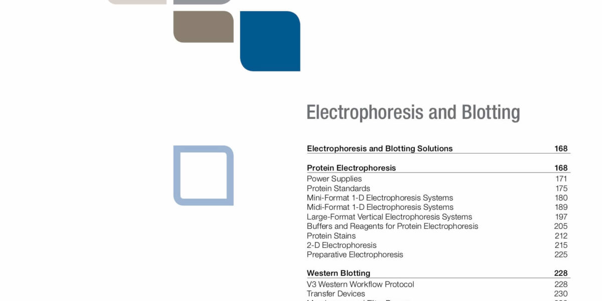 BIORAD – Electroforesis y Western Blot